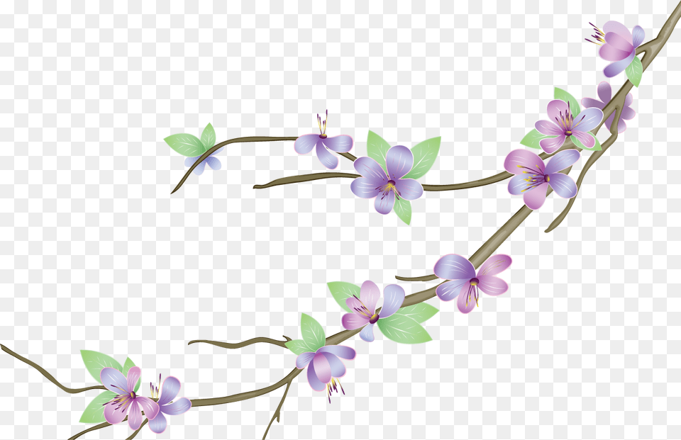 Flower Vectors Various Photo Purple Flower Vector, Plant, Petal, Acanthaceae, Orchid Free Png