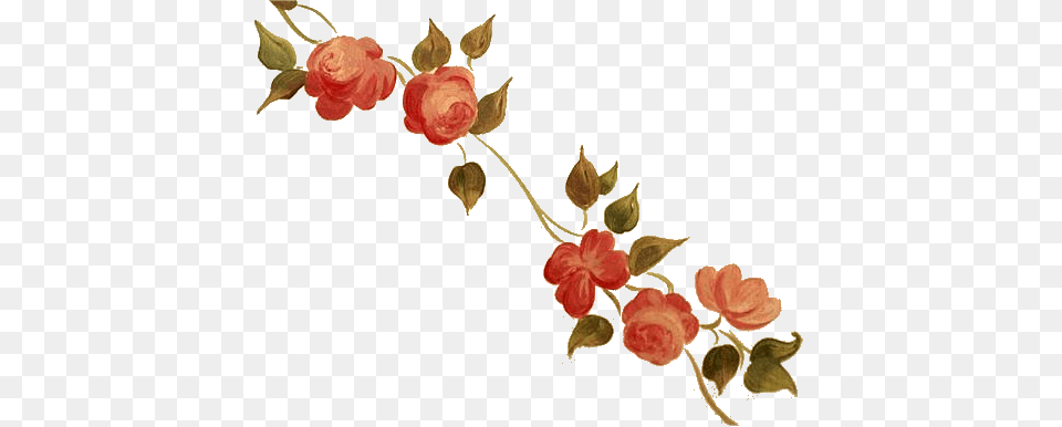 Flower Vine, Rose, Art, Floral Design, Graphics Free Png