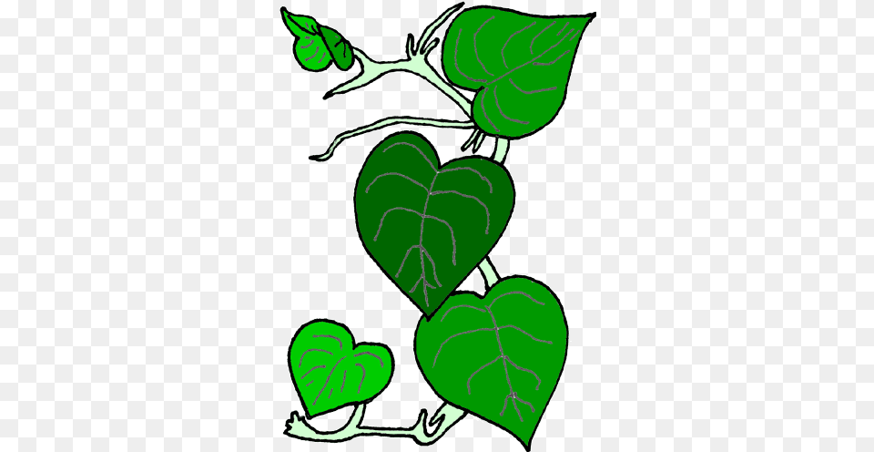 Flower Vine Clip Art Vine Cliparts, Leaf, Plant, Person Png