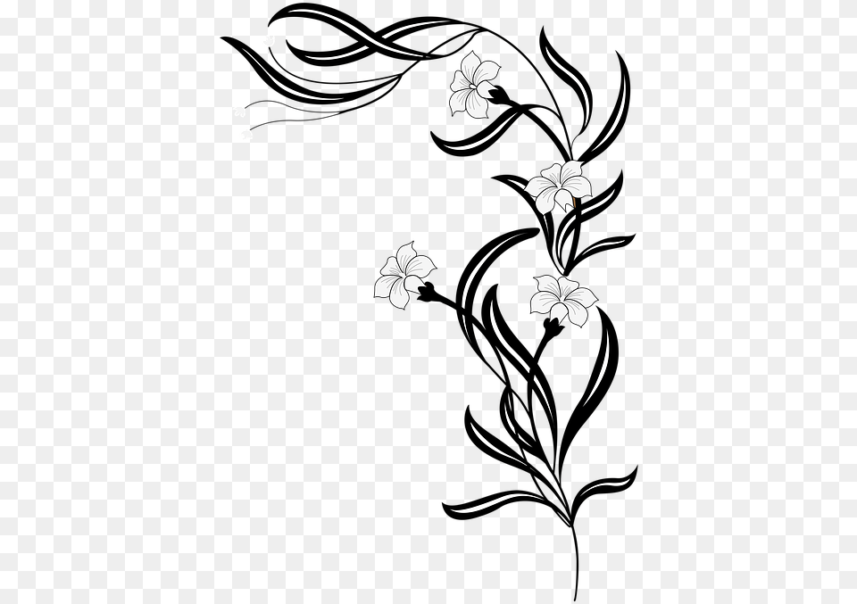 Flower Vine Clip Art Black And White Flower Black And White, Floral Design, Graphics, Pattern, Plant Png