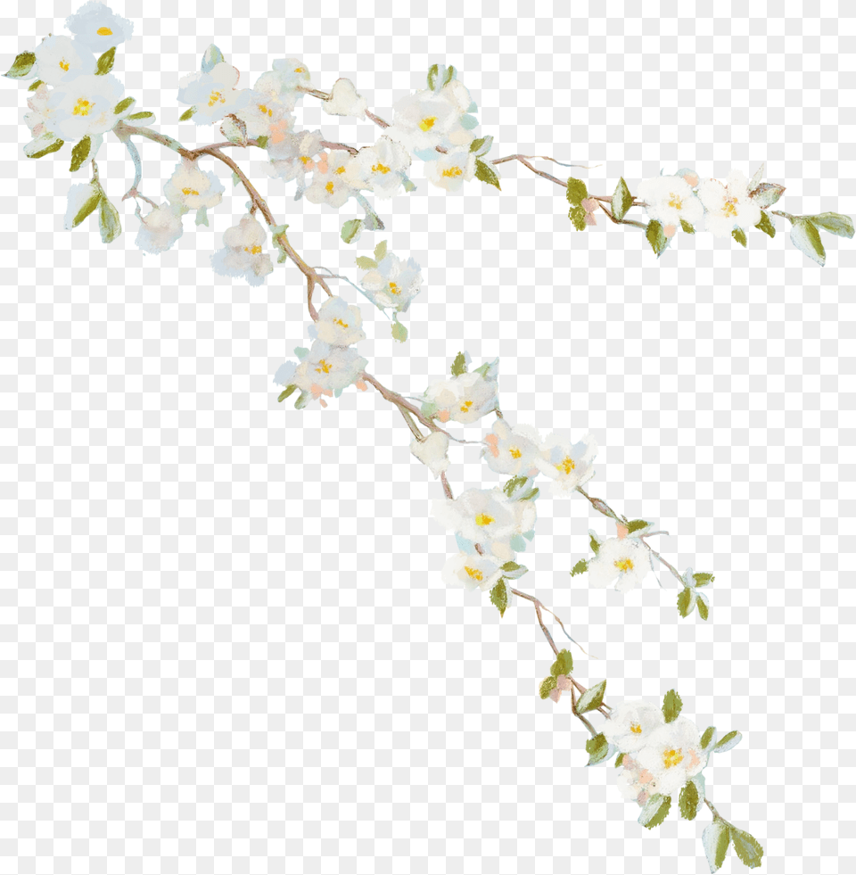 Flower Vine Desktop Wallpaper Clip Art Flower Vine, Plant, Petal, Orchid, Flower Arrangement Free Png