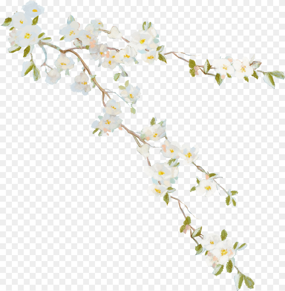 Flower Vine Desktop Wallpaper Clip Art Vines Download Flower Vine, Plant, Petal, Orchid, Flower Arrangement Free Png