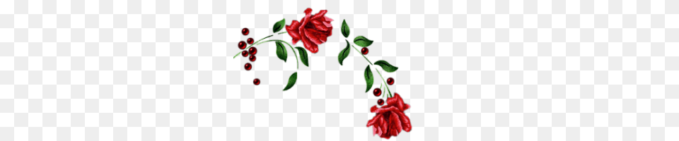 Flower Vine Tumblr Image, Pattern, Art, Plant, Graphics Free Transparent Png