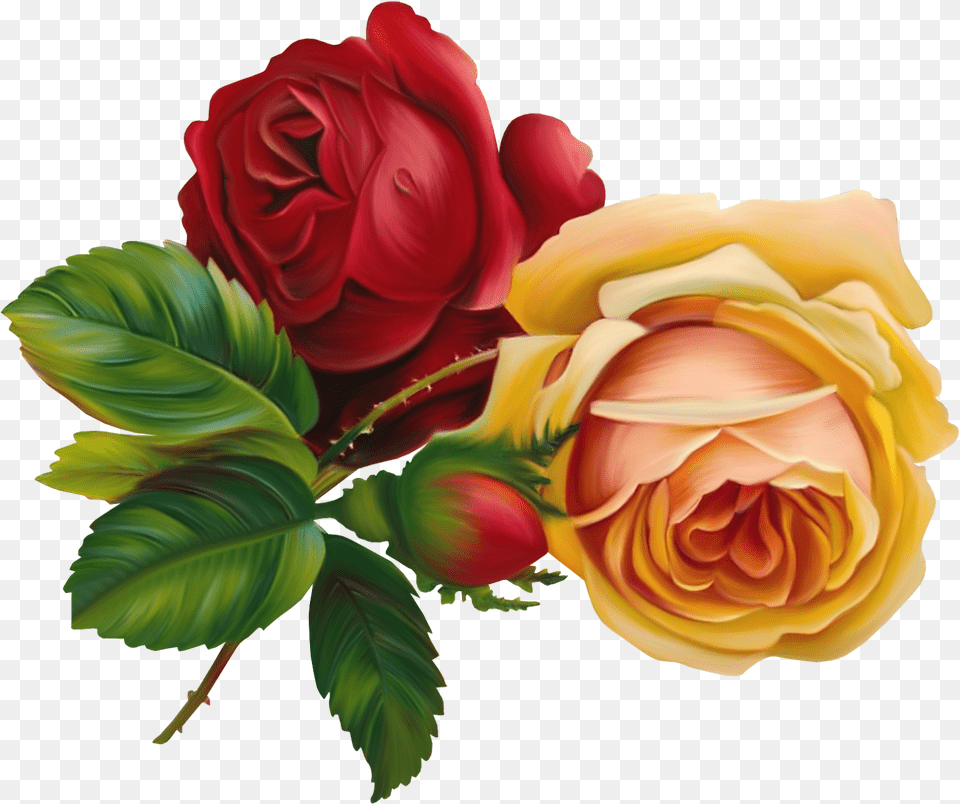 Flower Vintage Art, Plant, Rose, Flower Arrangement, Flower Bouquet Free Png Download