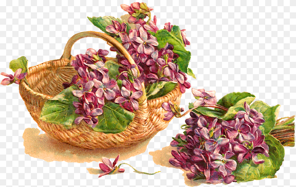Flower Violet Basket Download Artificial Flower, Flower Arrangement, Plant, Herbal, Herbs Png Image