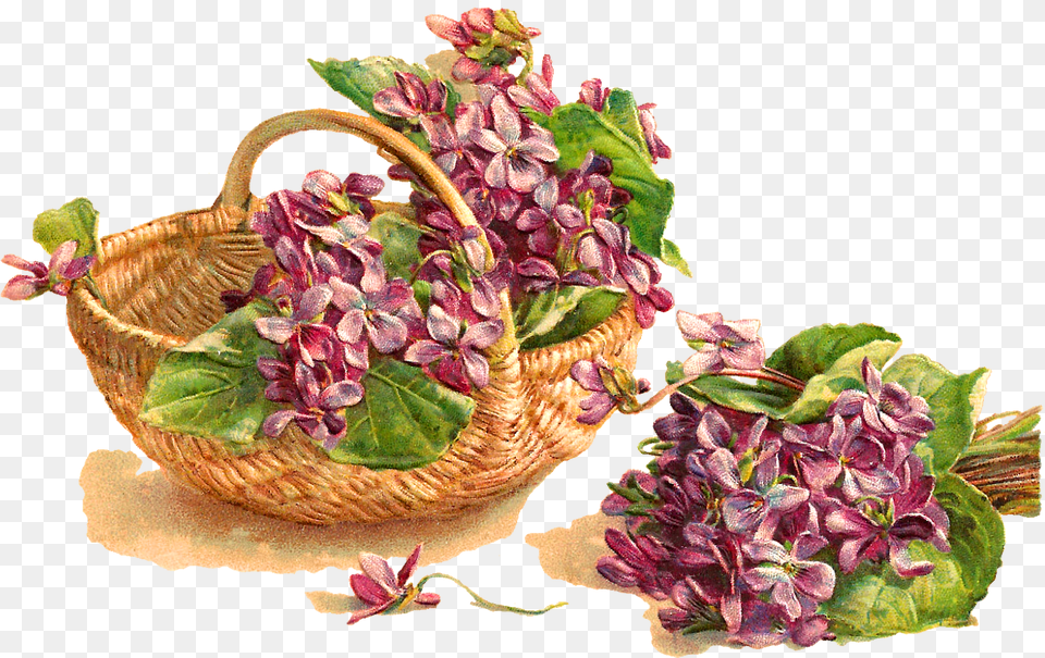 Flower Violet Basket Image Carte De Vux Anciennes, Flower Arrangement, Plant, Herbal, Herbs Free Png Download