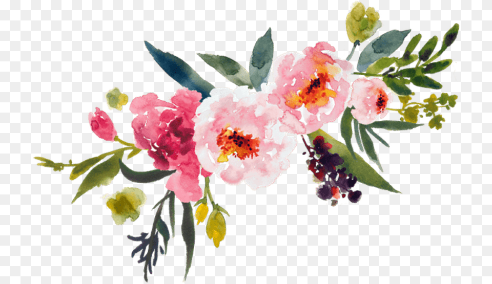 Flower Watercolor, Plant, Pattern, Flower Bouquet, Flower Arrangement Png Image