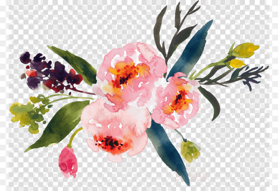 Flower Watercolor Background, Plant, Pattern, Art, Petal Free Png