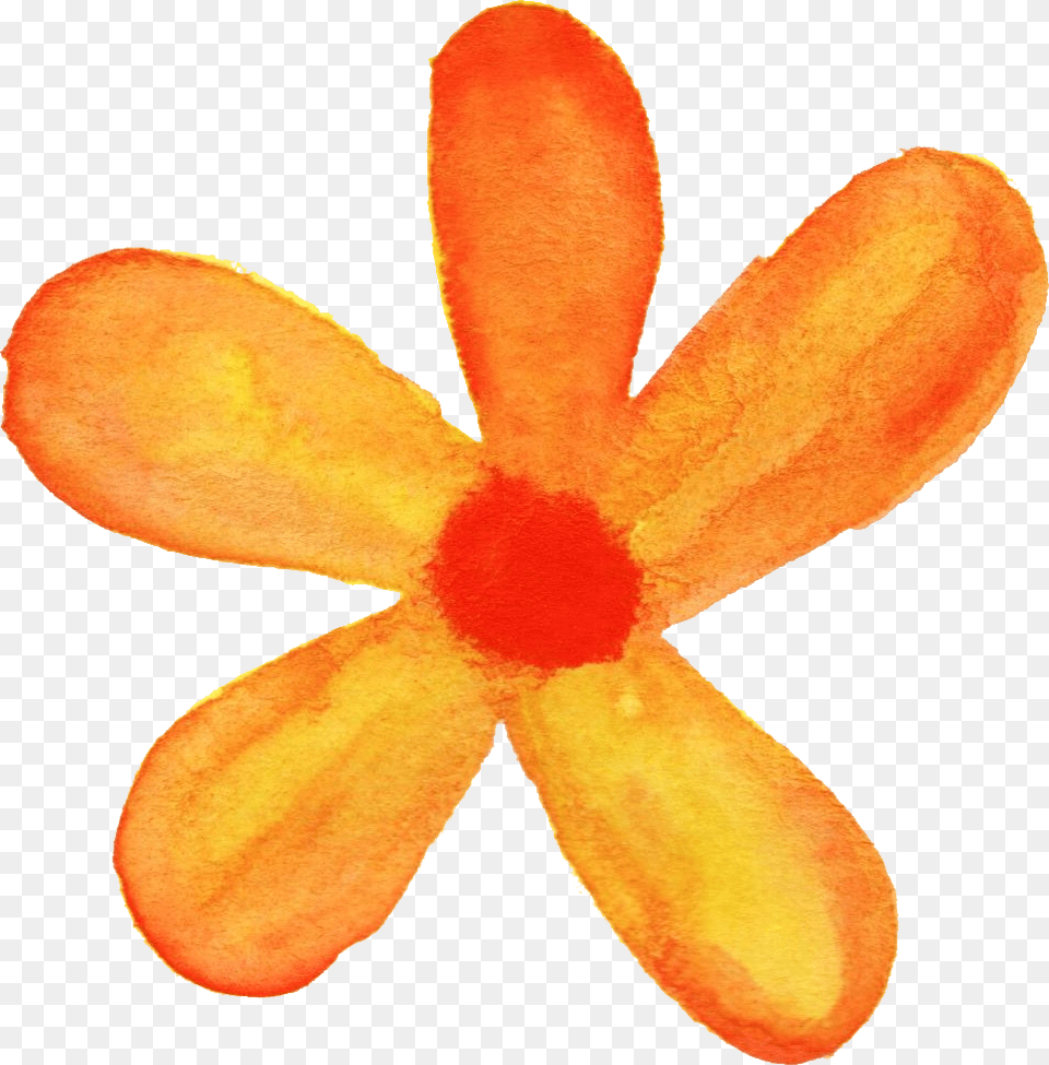 Flower Watercolor Orange Flower Watercolor, Food, Fruit, Petal, Plant Png