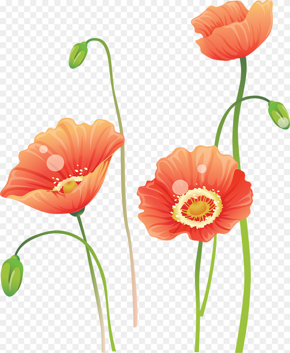 Flower Watercolor Painting Portable Network Graphics, Plant, Art, Anther, Petal Png