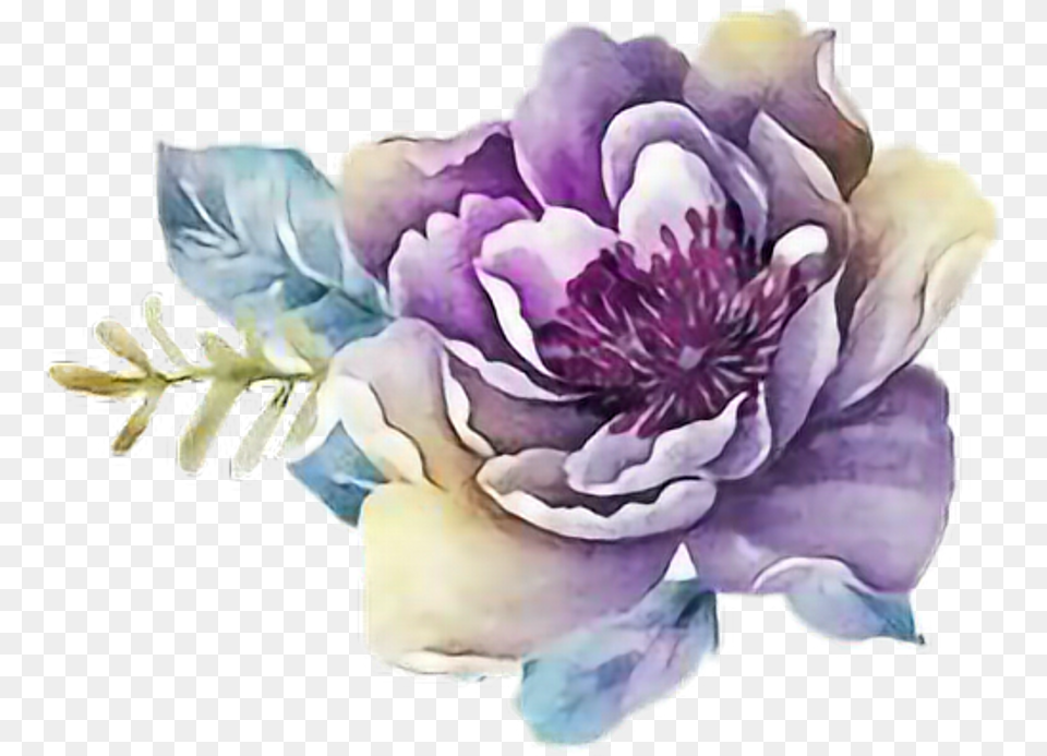 Flower Watercolor Purple Watercolor Flower, Plant, Petal, Art, Pattern Free Transparent Png