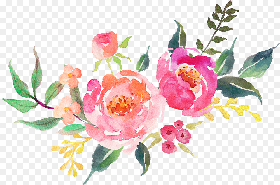 Flower Watercolor Transparent Background, Pattern, Plant, Art, Floral Design Png Image