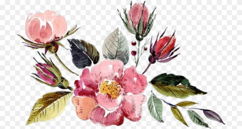 Flower Watercolor Watercolorflower Flowers Aesthetic Aesthetic Watercolor Flowers, Petal, Plant, Art, Pattern Png