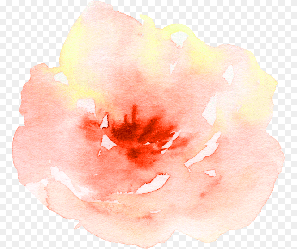 Flower Watercolor Watercolour Peach Peach Aesthetic Hd, Petal, Plant, Person, Face Free Png Download