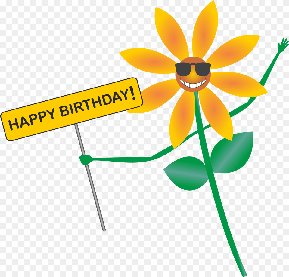 Flower With Banner Happy Birthday Happy Wishes To Father, Daisy, Petal, Plant, Anther Free Png