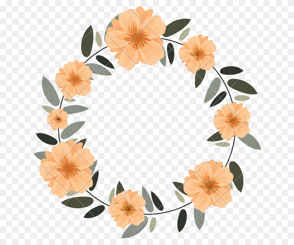 Flower Wreath, Plant, Art, Floral Design, Graphics Free Png