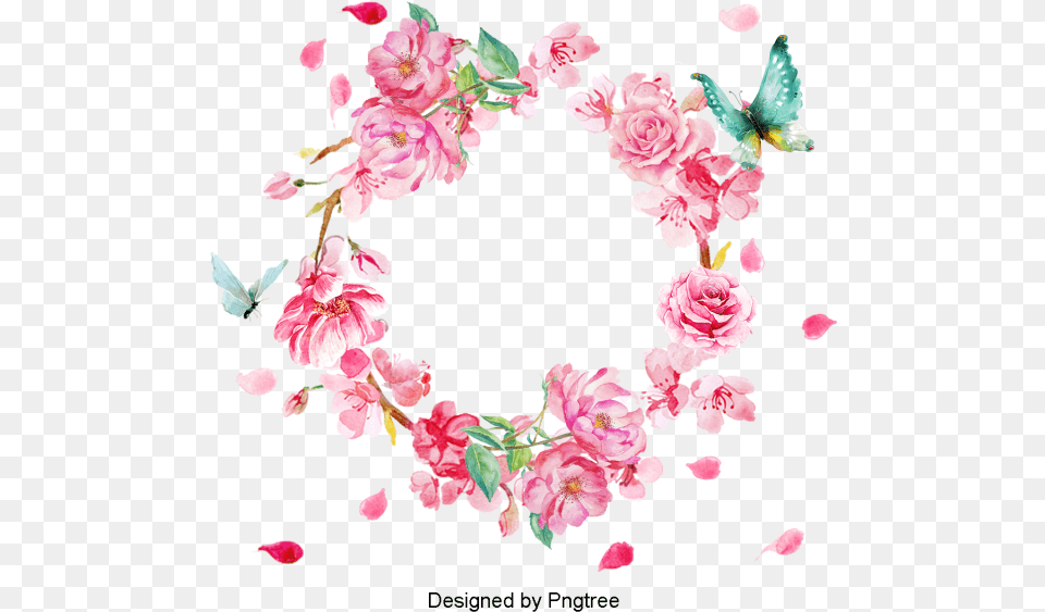 Flower Wreath, Petal, Plant, Rose, Carnation Free Png Download