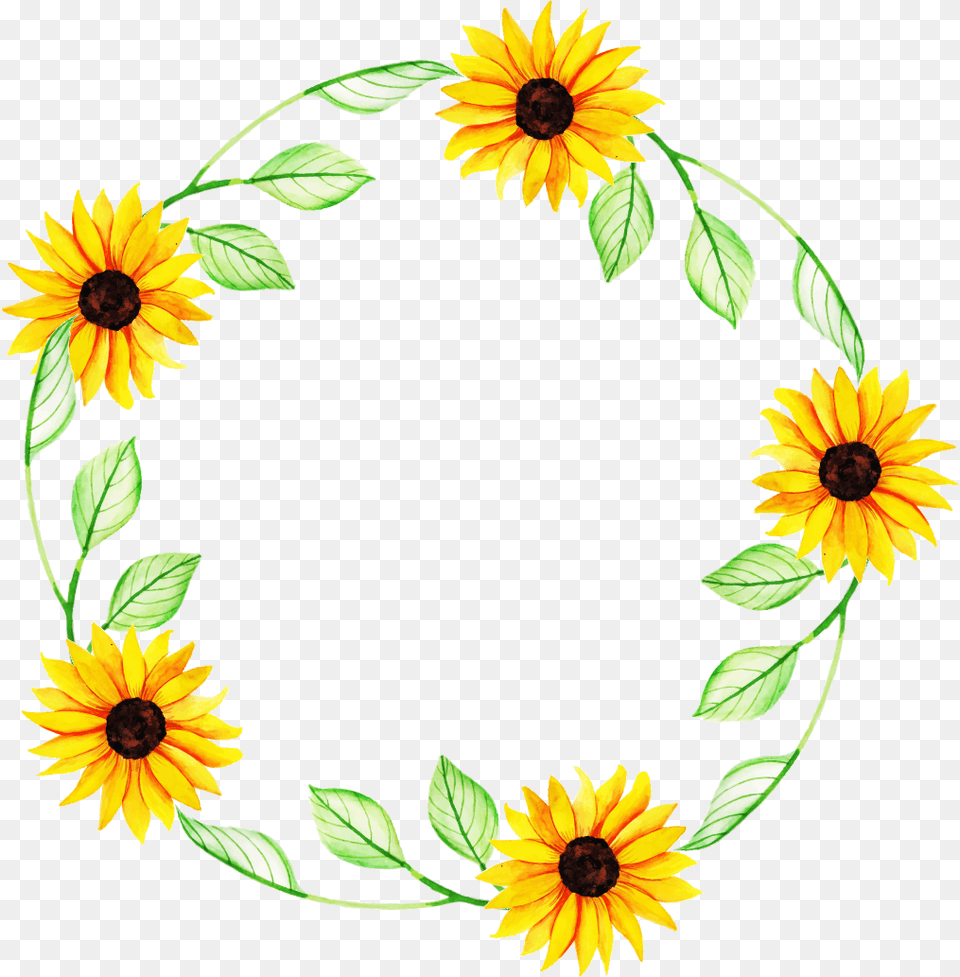 Flower Wreath, Plant, Sunflower, Pattern, Daisy Png Image