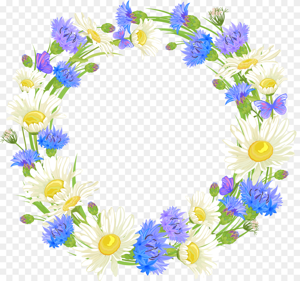 Flower Wreath Clipart, Daisy, Plant, Flower Arrangement, Anemone Png Image