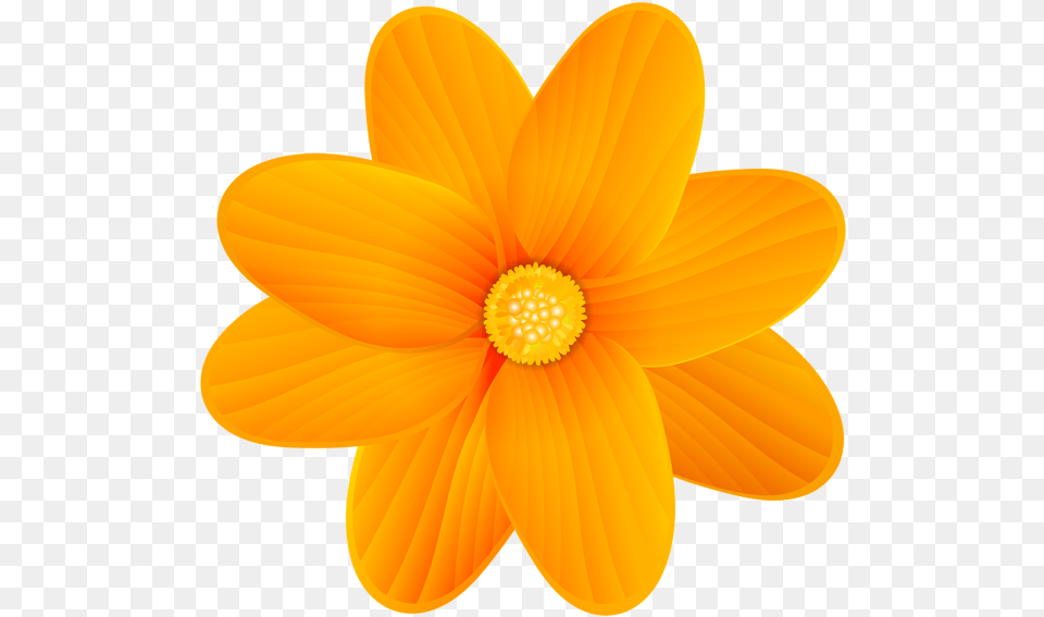 Flower Yellow Clip Art Desenho De Flor De Laranjeira, Anemone, Anther, Dahlia, Daisy Free Png