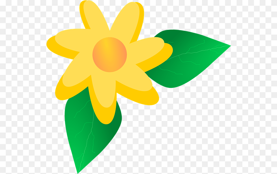 Flower Yellow Clipart Clipart, Daisy, Petal, Plant, Leaf Free Transparent Png