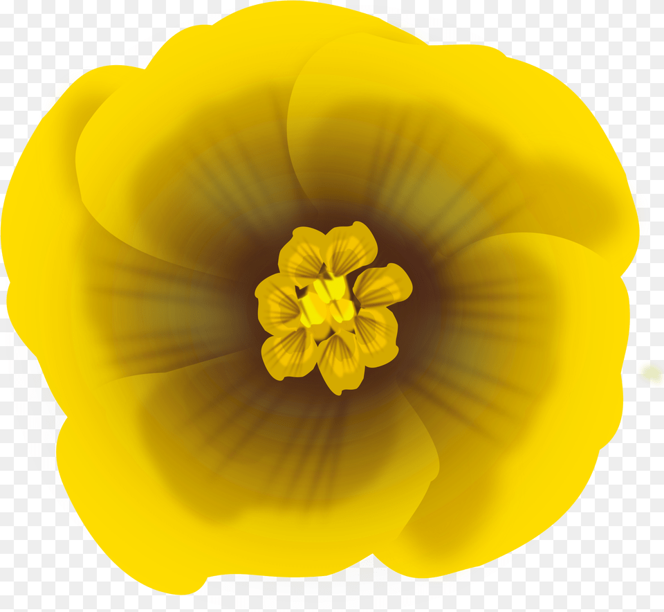 Flower Yellow Icons Desenho Flor Amarela, Anther, Petal, Plant, Pollen Png