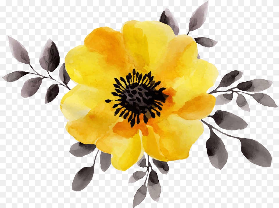 Flower Yellow Watercolor Painting Stock Illustration Watercolor Yellow Flowers, Anemone, Anther, Petal, Plant Png