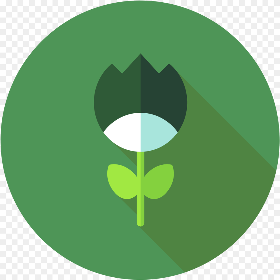 Flowerbed Design Emblem, Green, Leaf, Plant, Astronomy Free Png Download
