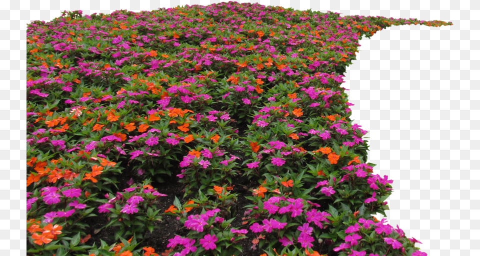 Flowerbed Vh Flower Bed, Purple, Plant, Petal, Geranium Free Png Download