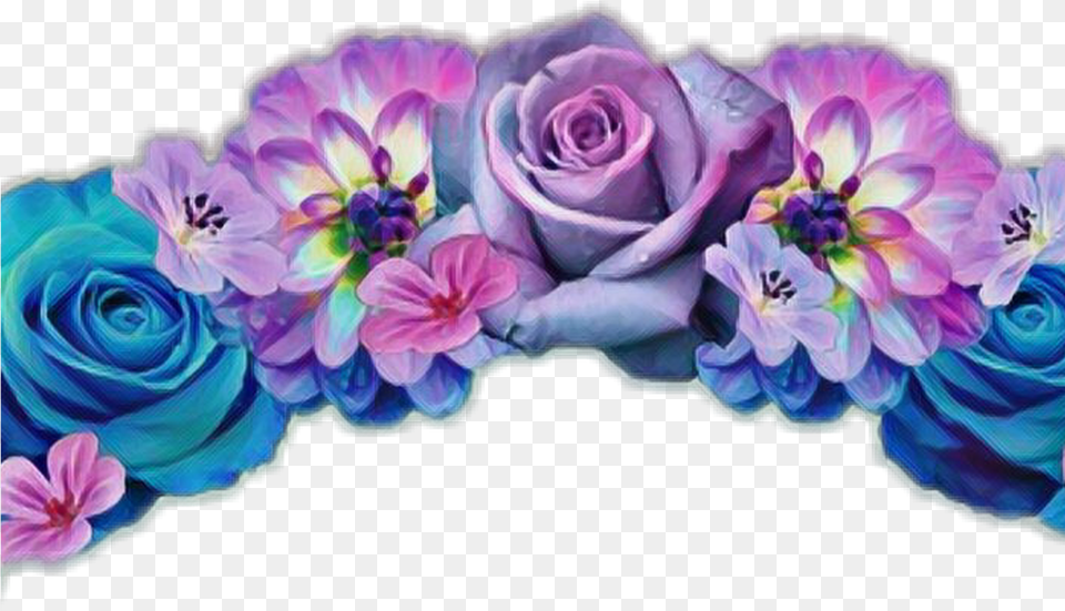 Flowercrown Flower Sticker Flowercrownsticker Flowersti Flower Crown Transparent Background, Art, Purple, Plant, Rose Free Png