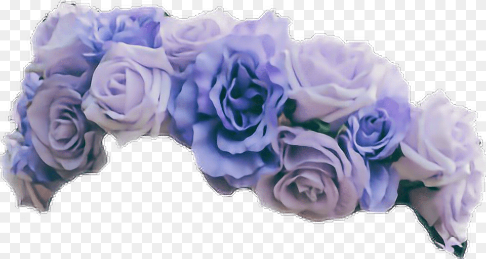 Flowercrown Purpleflower Aesthetic Transparent Background Blue Flower Crown, Plant, Rose, Flower Arrangement, Flower Bouquet Png Image