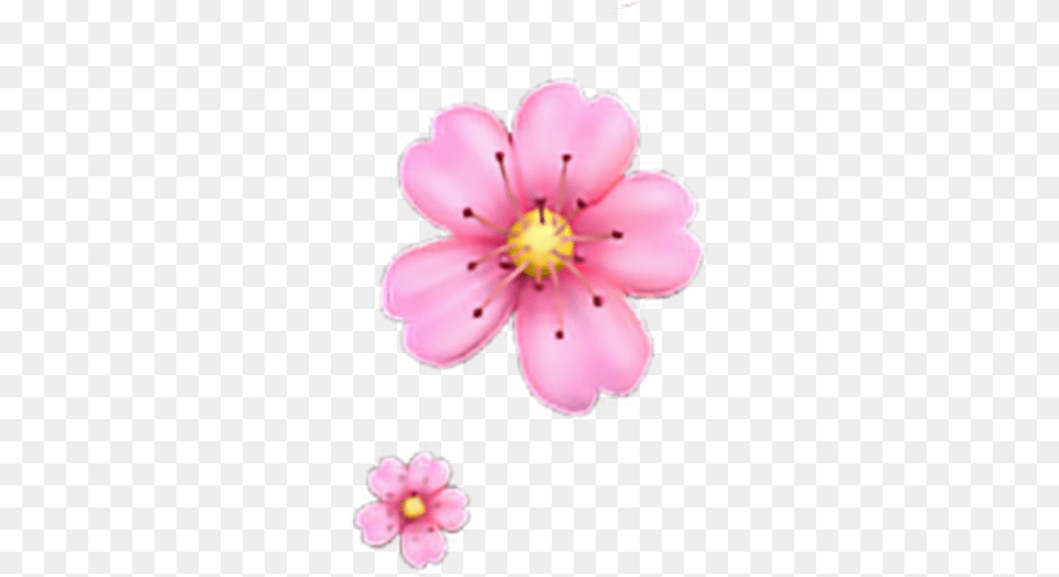 Floweremoji Flower Emoji Iphone Flower Emoji, Anther, Petal, Plant, Anemone Png Image