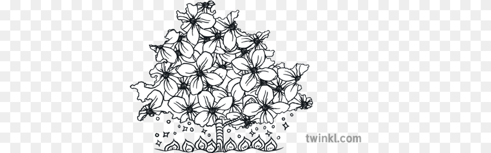 Flowering Dogwood North Carolina Flora Tree State Usa Line Art, Floral Design, Graphics, Pattern, Chandelier Free Png