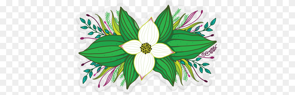 Flowering Dogwood Transparent Clip Art, Dahlia, Floral Design, Flower, Graphics Png Image