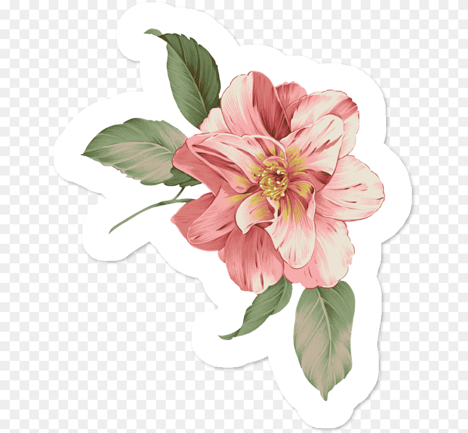 Flowering Flower Art Pattern Drawing Vector Flowers Flor Rosa 3d, Dahlia, Plant, Graphics Png Image