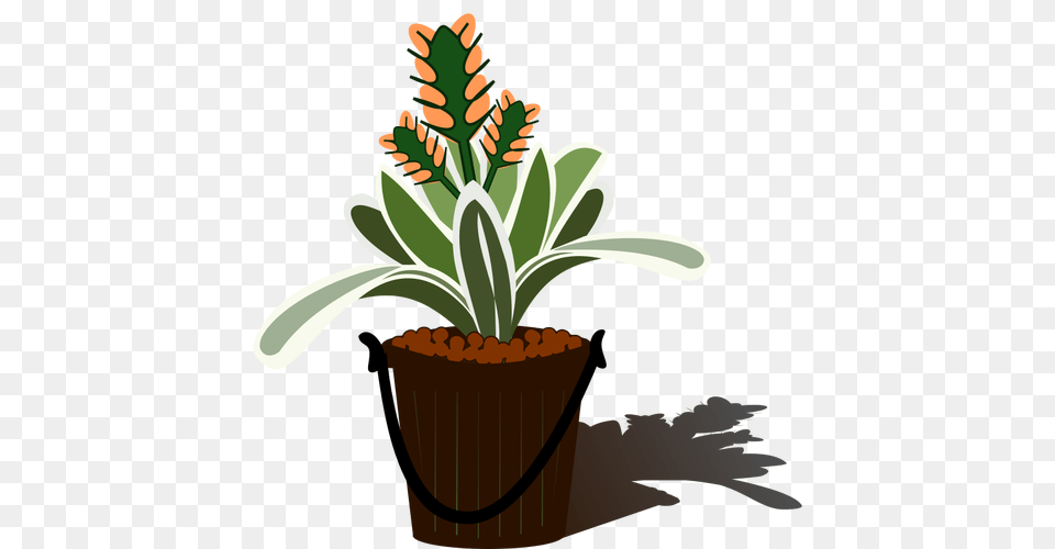 Flowering Plant, Potted Plant, Pottery, Planter, Vase Free Transparent Png