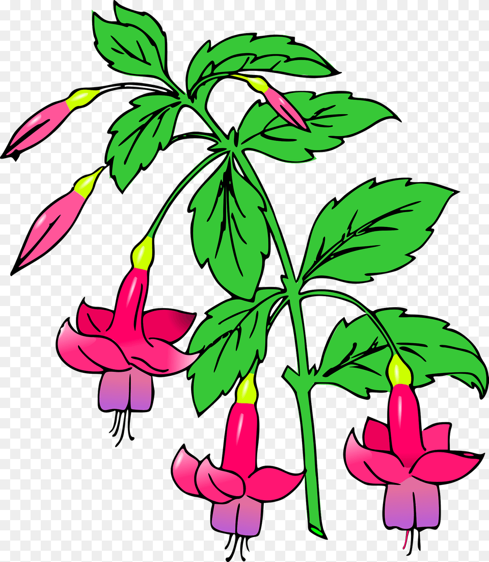 Flowering Plant With Pink Flowers Clipart, Flower, Vegetation, Leaf Free Transparent Png