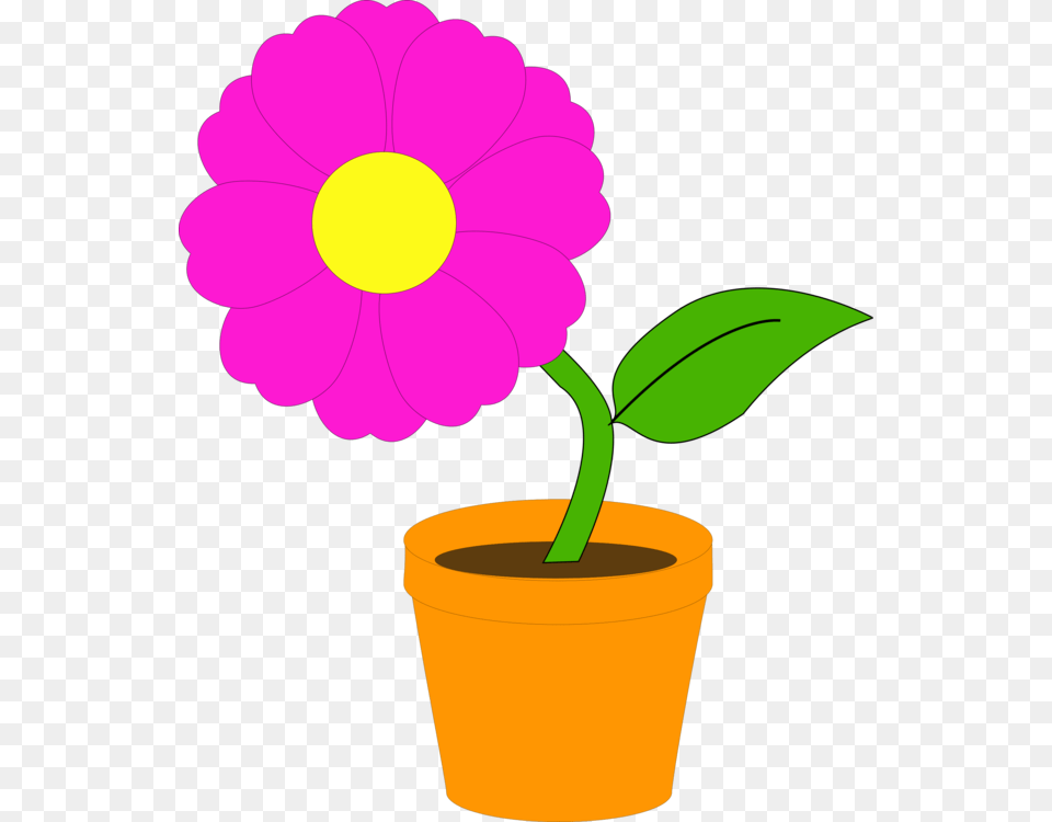 Flowering Pot Plants Flowerpot Houseplant, Daisy, Flower, Petal, Plant Free Png Download