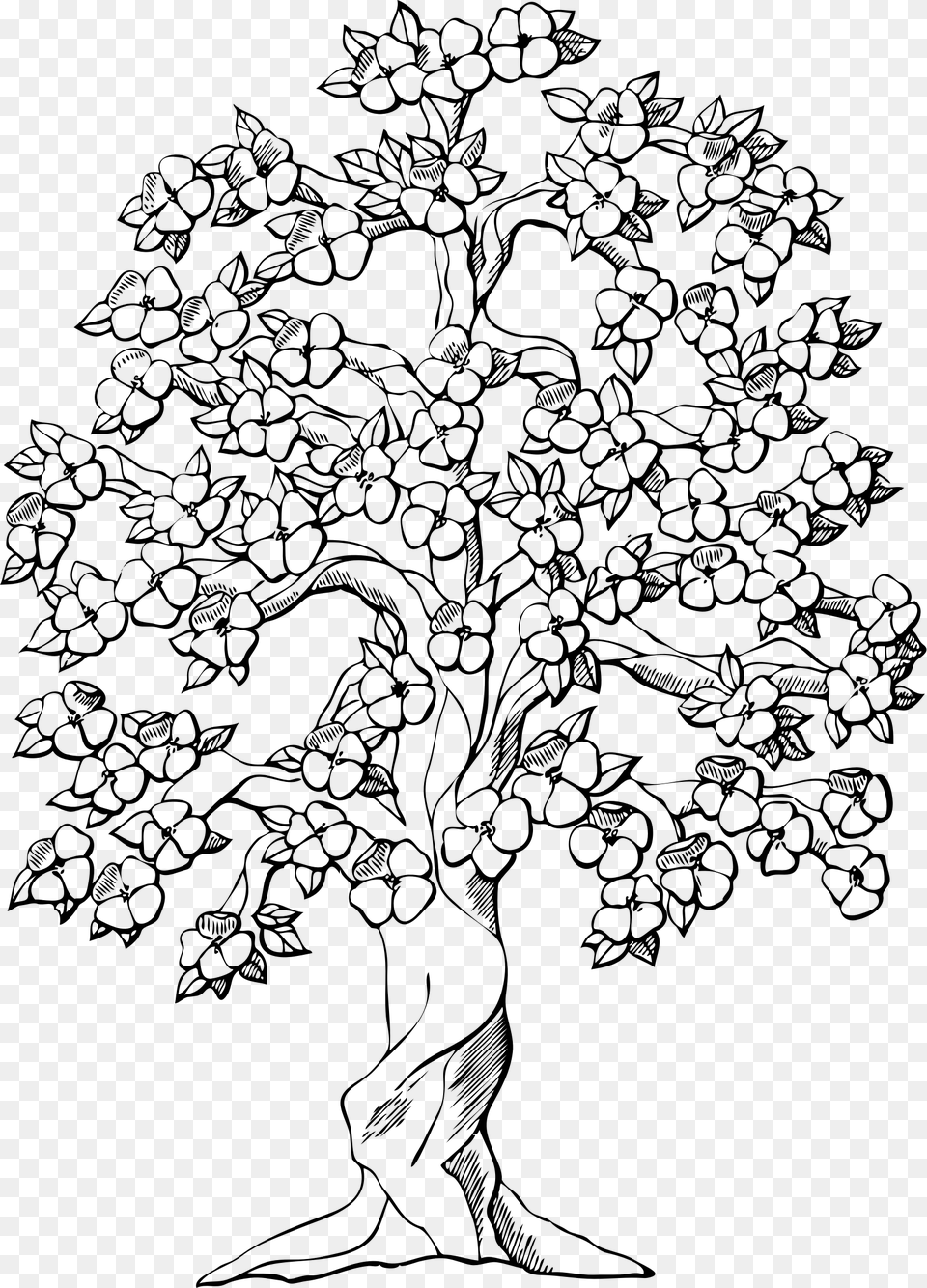 Flowering Tree Clip Arts Drawings Of Trees With Flowers, Gray Free Png