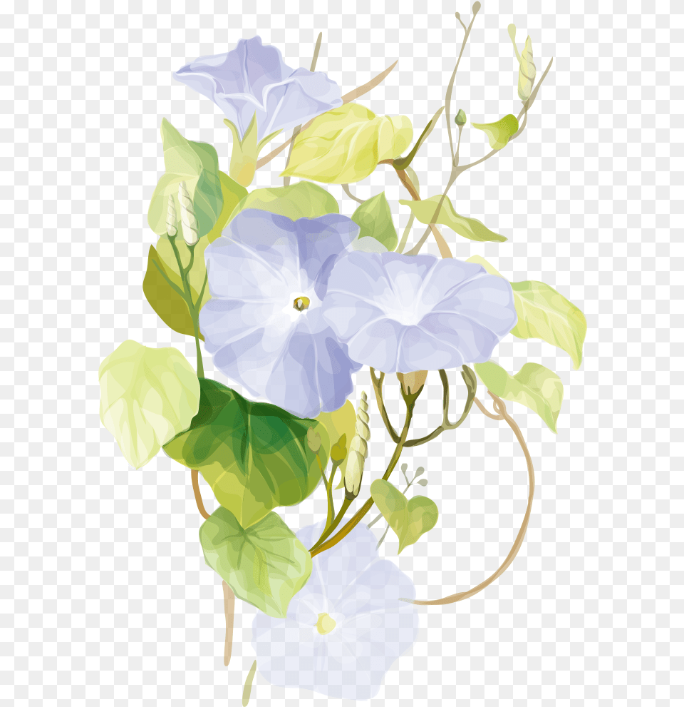 Flowering Vine Prints, Flower, Plant, Flower Arrangement, Anemone Free Transparent Png