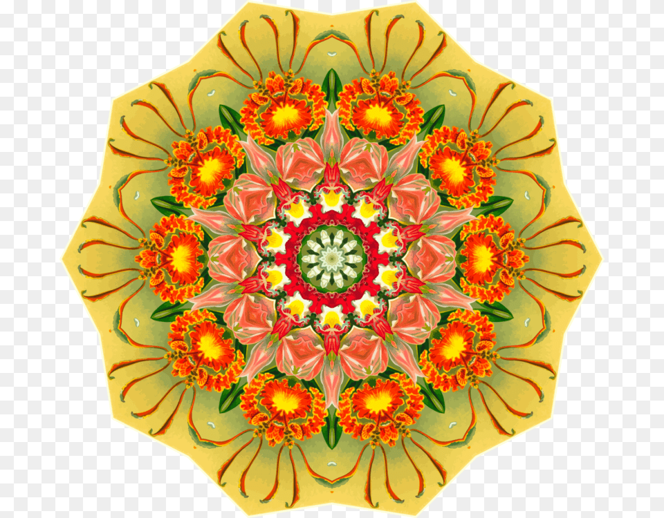 Flowerpetalyellow Orchidae, Art, Floral Design, Graphics, Pattern Png Image