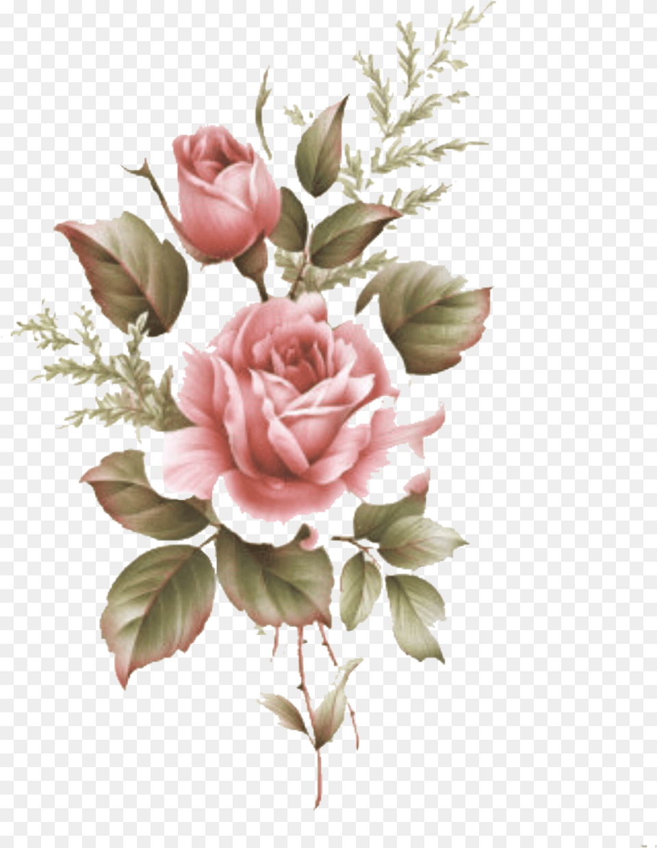 Flowerpng Rose Overlays Kpopedit Freetoedit Nolza Flower Drawing Tumblr Color, Art, Floral Design, Graphics, Pattern Free Transparent Png