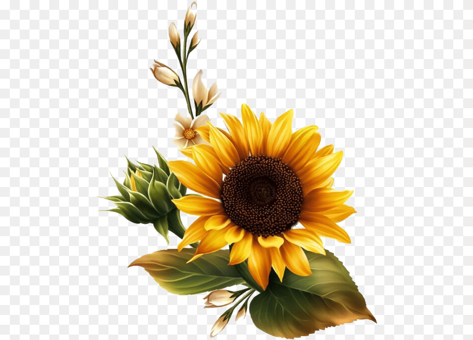 Flowerpng Sunflower Overlays Kpopedit Freetoedit Transparent Background Sunflower Clipart, Flower, Plant Free Png