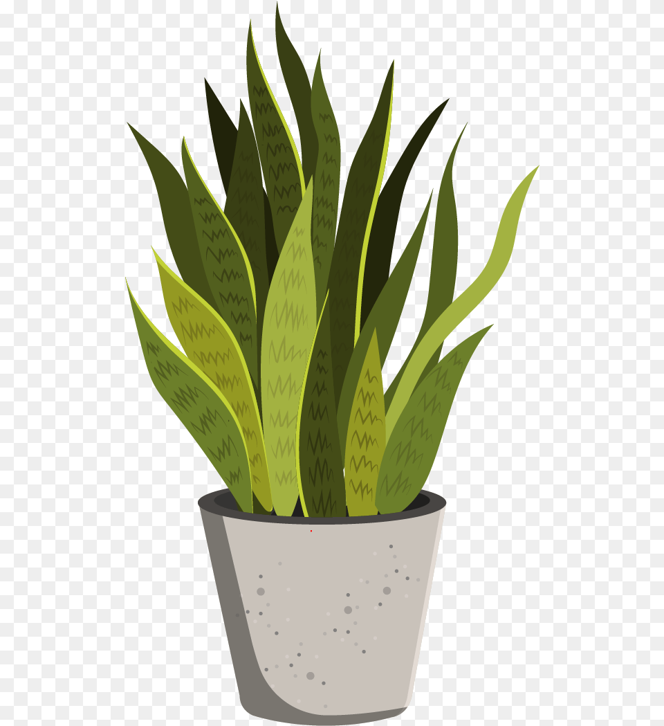 Flowerpot, Plant, Potted Plant, Jar, Leaf Png