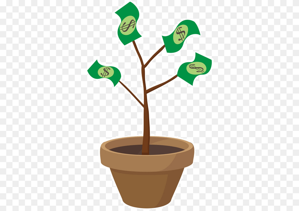 Flowerpot, Plant, Leaf, Potted Plant, Tree Png