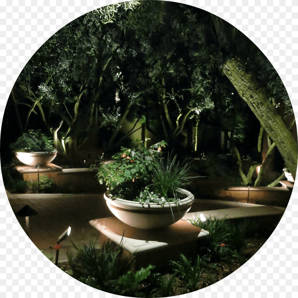 Flowerpot, Garden, Nature, Outdoors, Plant Free Transparent Png