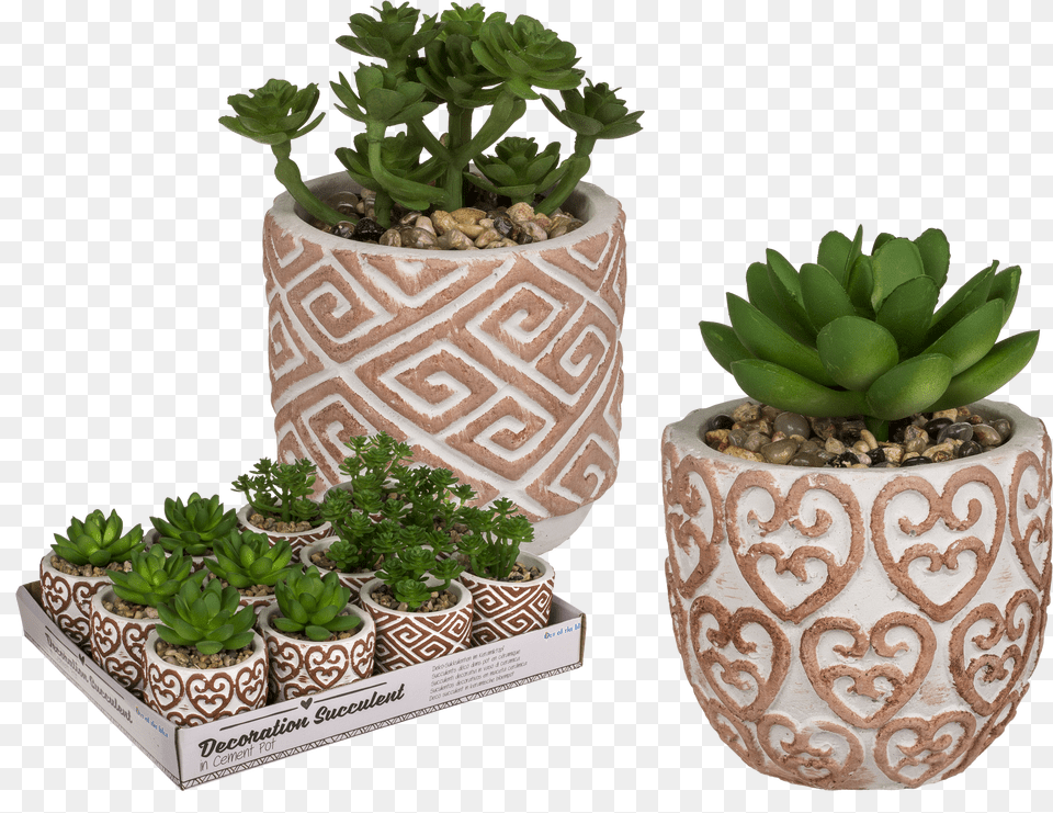 Flowerpot Free Transparent Png