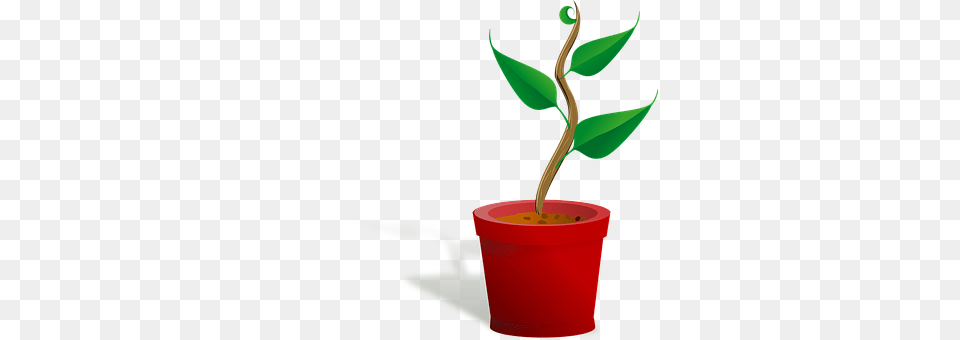 Flowerpot Leaf, Plant, Sprout Png Image