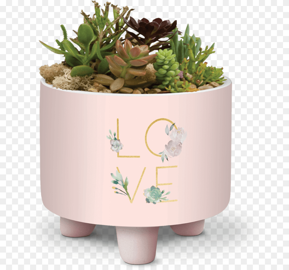 Flowerpot, Jar, Plant, Planter, Potted Plant Free Png