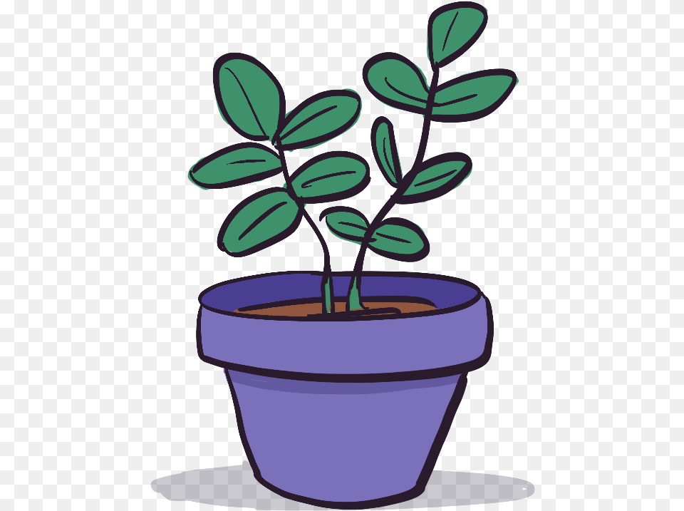 Flowerpot, Leaf, Plant, Potted Plant, Herbal Free Transparent Png